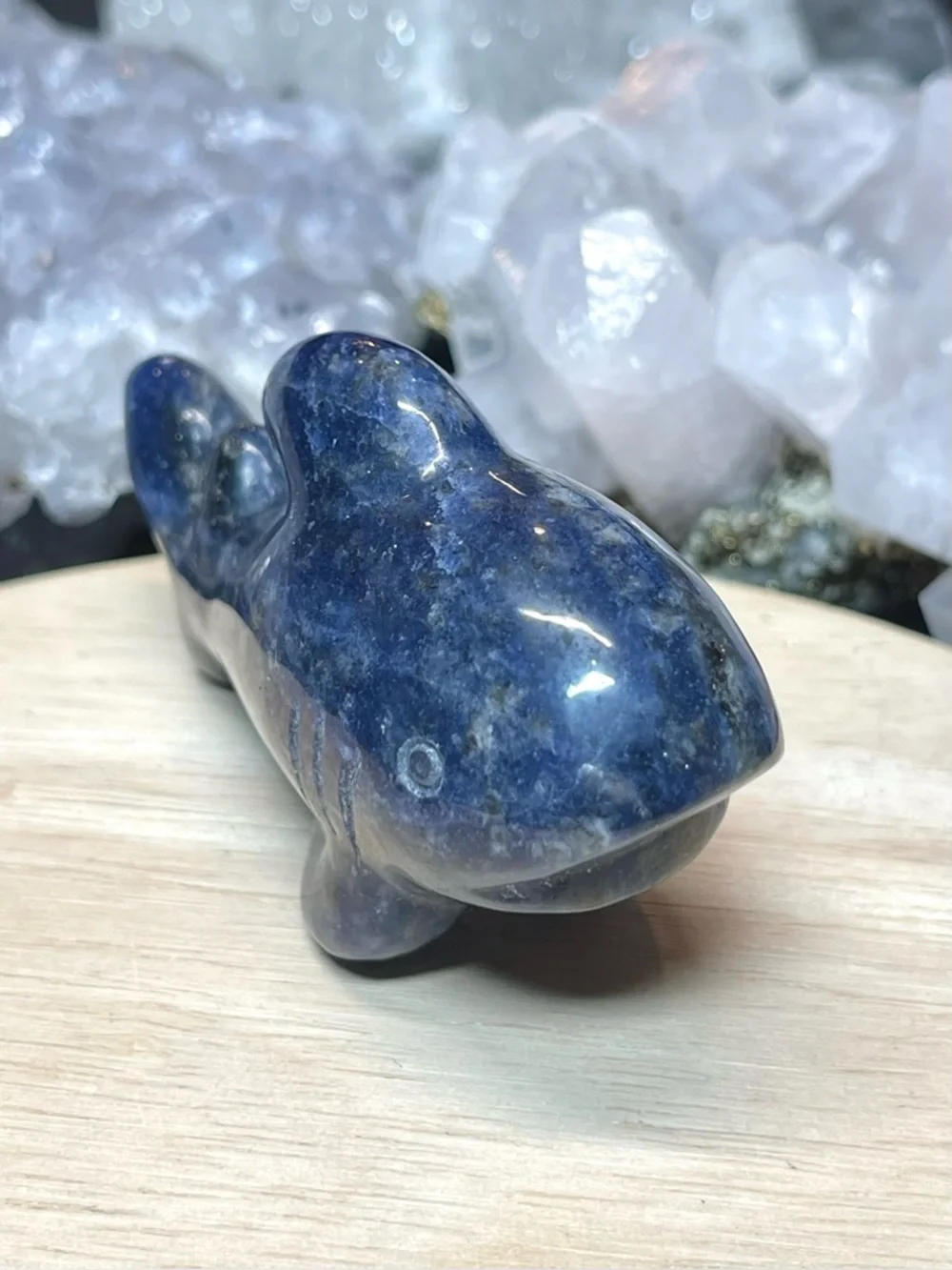 🌑Sodalite Polished Crystal Shark Animal Carving🌑
